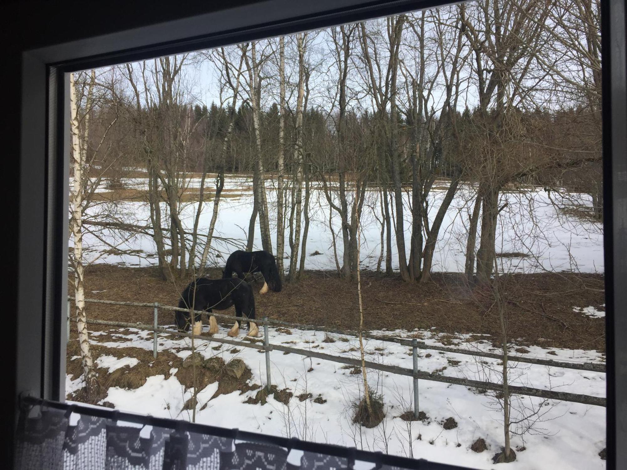 Penzion Na Slunicku Mariánská المظهر الخارجي الصورة