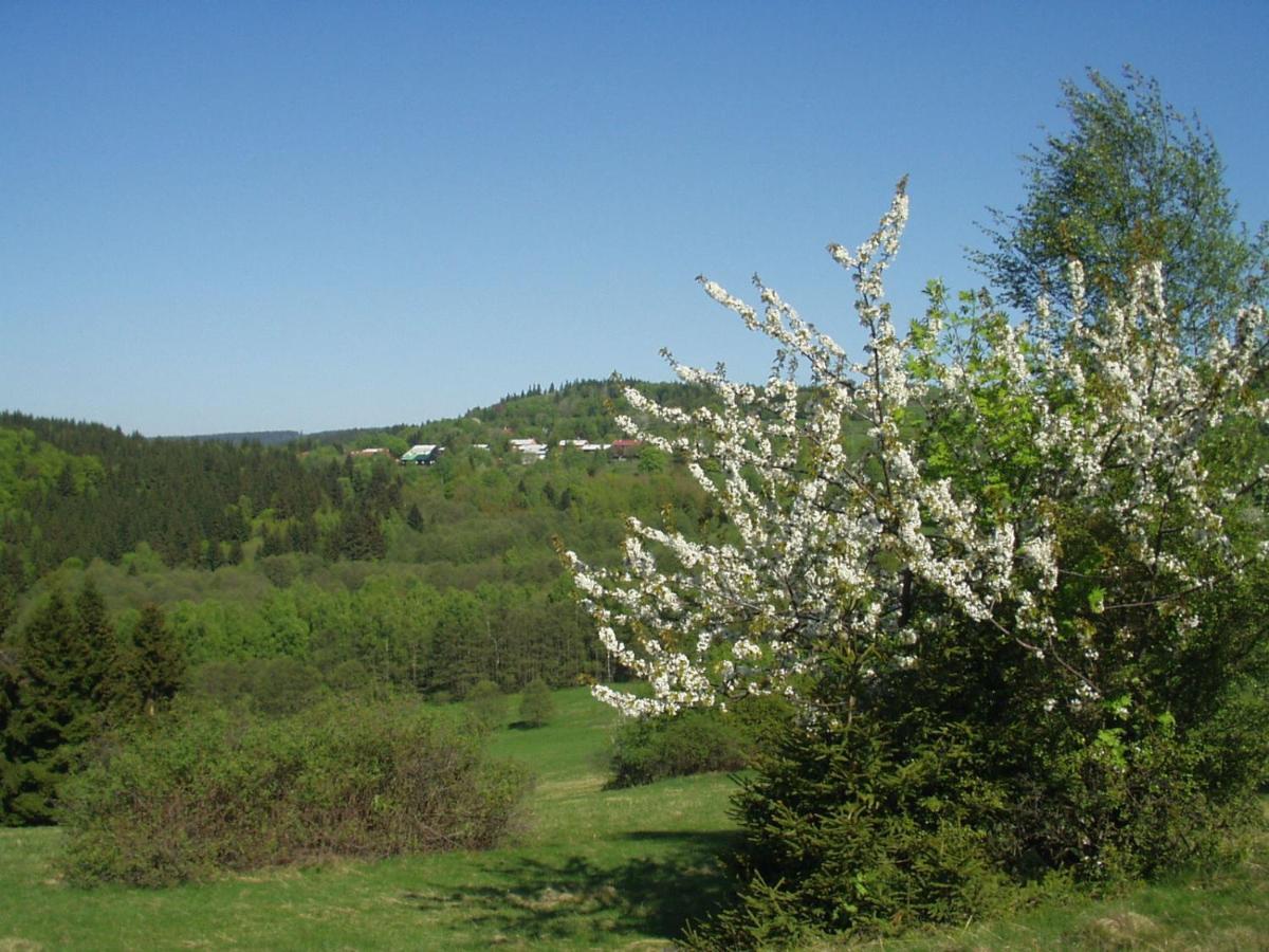 Penzion Na Slunicku Mariánská المظهر الخارجي الصورة